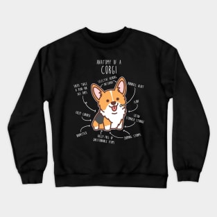 Red Headed Tri Corgi Dog Anatomy Crewneck Sweatshirt